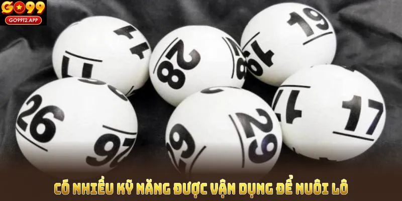 Có nhiều kỹ năng được vận dụng để nuôi lô khung hiệu quả 